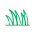 Artificial Grass